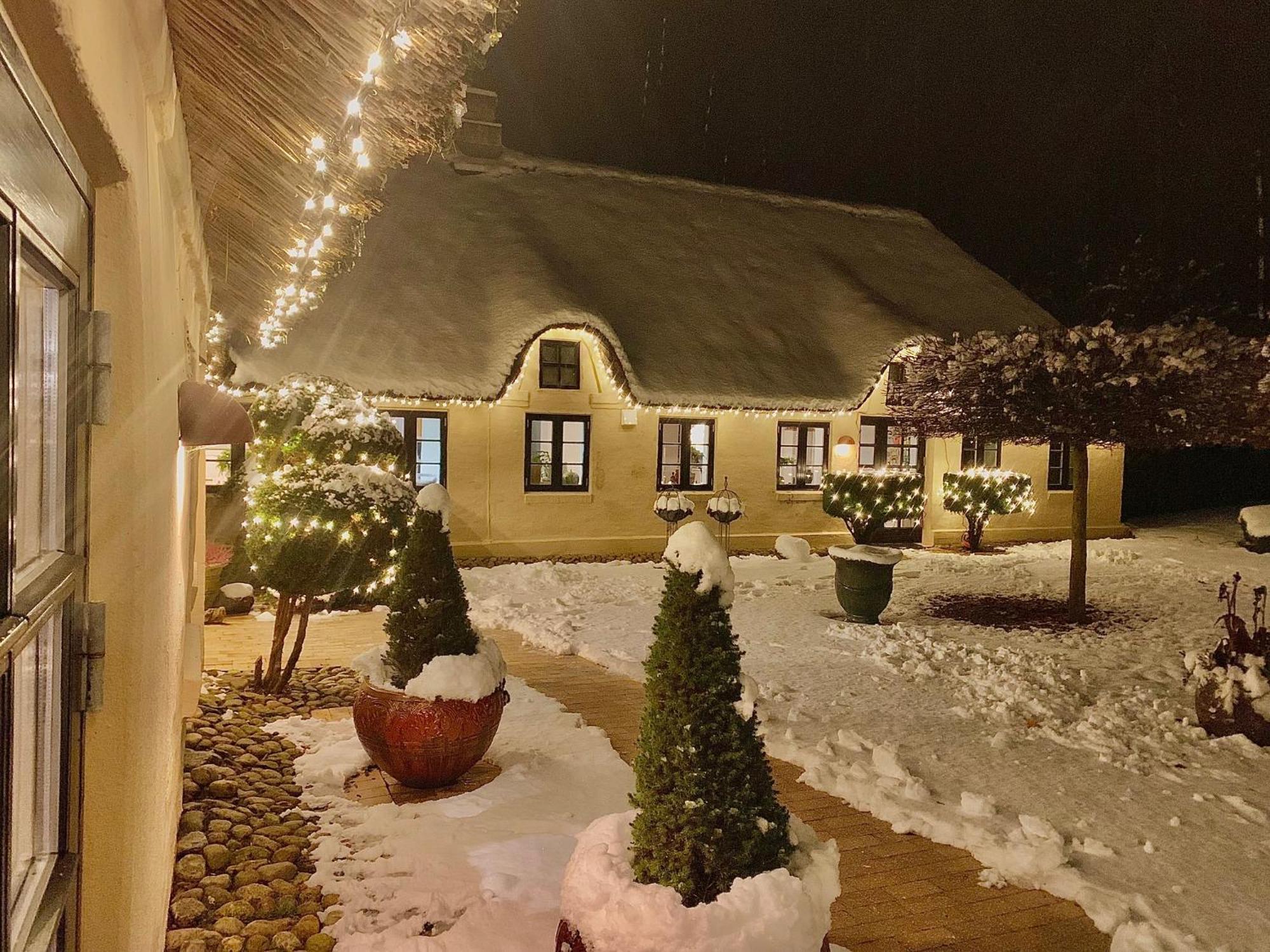 Mindedalen - Idyl Taet Pa Alt Og Helt I Fred Apartment Billum Exterior photo