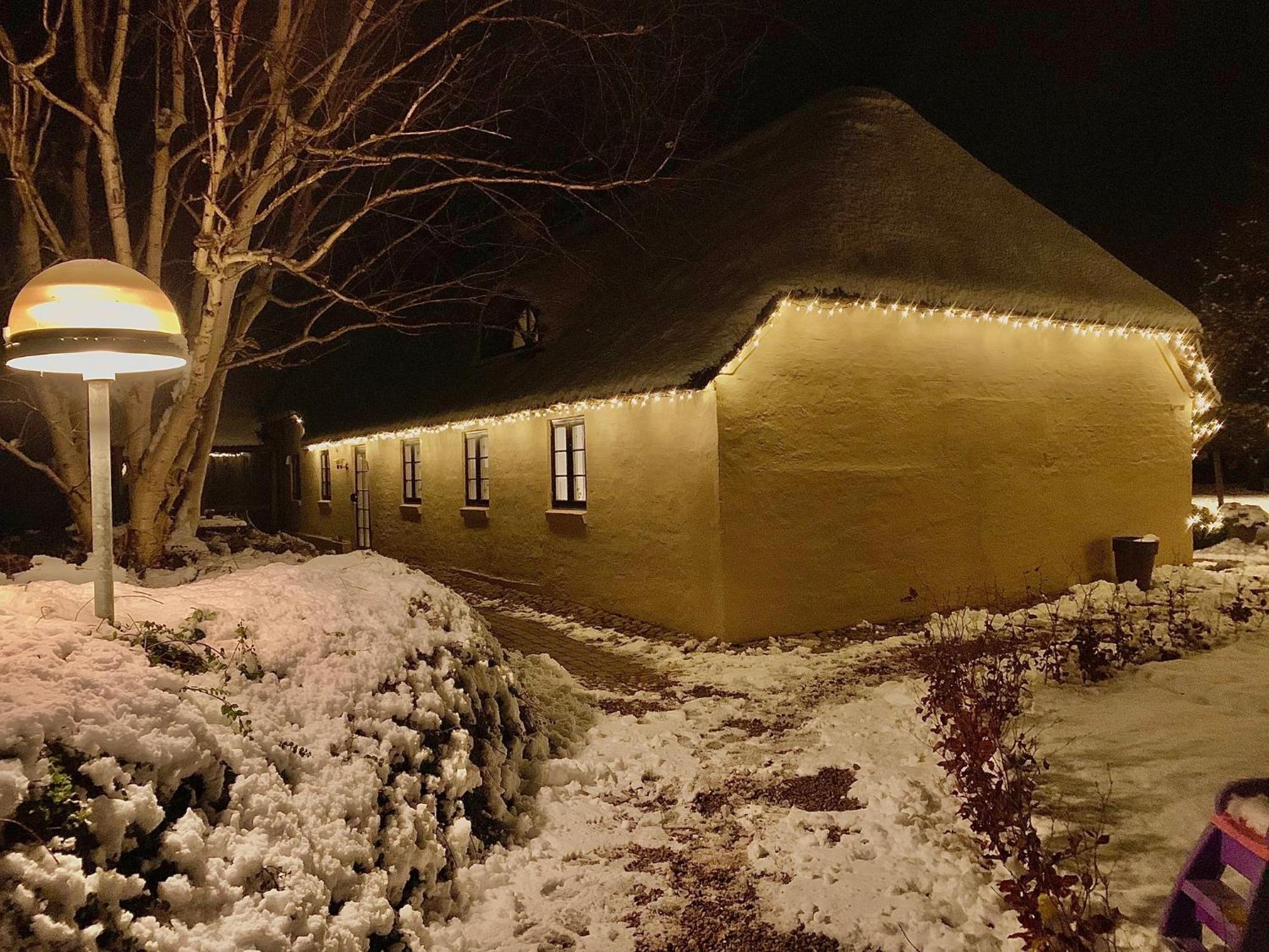 Mindedalen - Idyl Taet Pa Alt Og Helt I Fred Apartment Billum Exterior photo